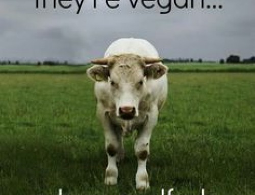 Today is World Vegan Day and here’s a little bit of history for you